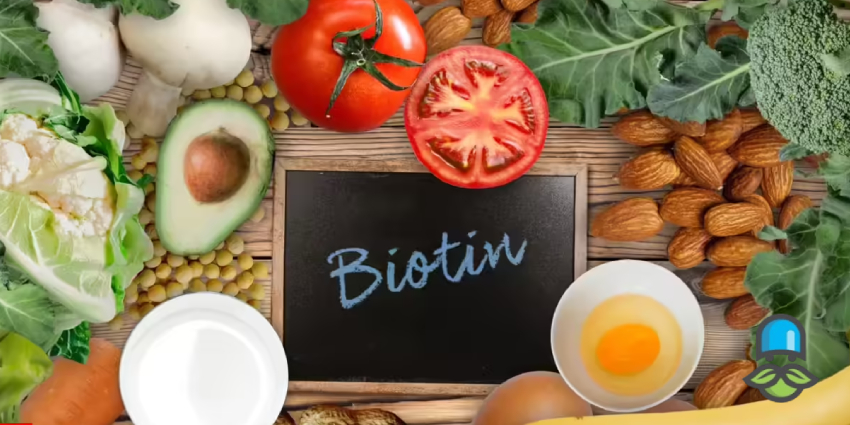 خواص و فواید ویتامین B7 برای بدن